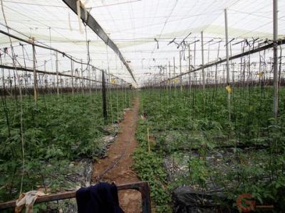 Annonce Vente Terrain Motril