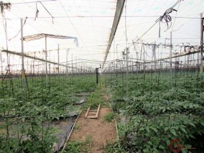 Acheter Terrain Motril rgion GRANADA