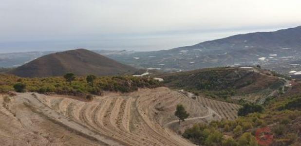 Annonce Vente Terrain Molvizar