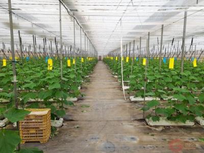 Annonce Vente Terrain Calahonda