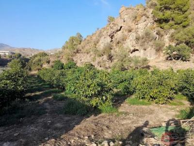 Acheter Terrain 32767 m2 Velez-de-benaudalla