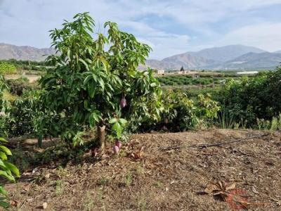 Annonce Vente Terrain Salobrena