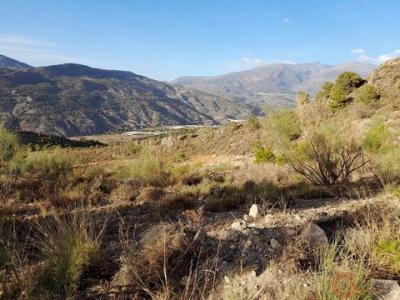 Acheter Terrain 32000 m2 Velez-de-benaudalla
