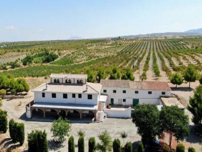 Annonce Vente Maison Gor