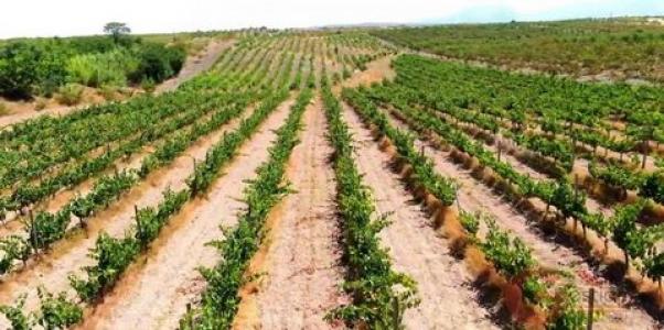 Acheter Maison 300 m2 Gor