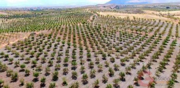 Acheter Maison Gor rgion GRANADA