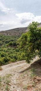 Annonce Vente Maison Motril