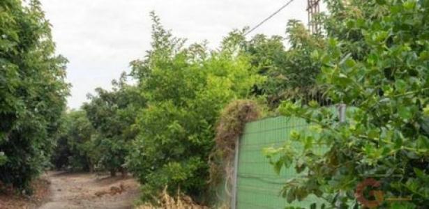 Acheter Maison Motril rgion GRANADA