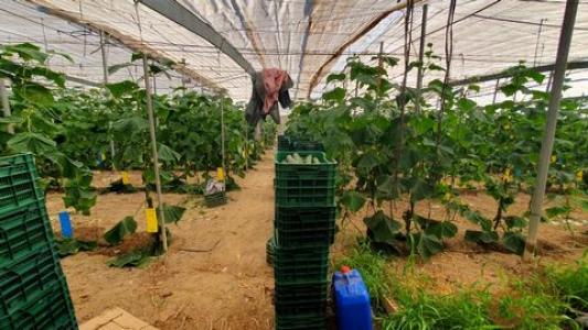 Annonce Vente Maison Velez-de-benaudalla