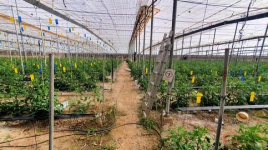 Acheter Maison 10 m2 Velez-de-benaudalla