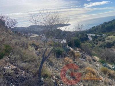 Annonce Vente Terrain La-herradura