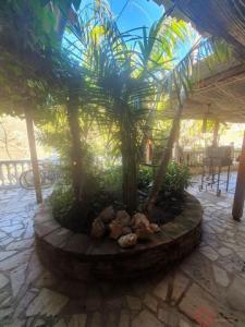 Acheter Maison Velez-de-benaudalla rgion GRANADA