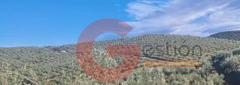 Acheter Maison Almontaras rgion GRANADA