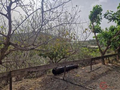 Acheter Maison 320 m2 Molvizar