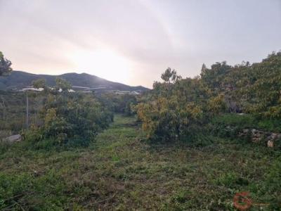 Acheter Maison 100 m2 Atrabo