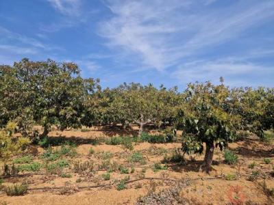 Acheter Maison 30 m2 Salobrena