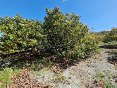 Acheter Maison Molvizar rgion GRANADA