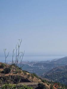 Annonce Vente Terrain Atrabo