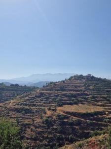 Acheter Terrain Atrabo rgion GRANADA