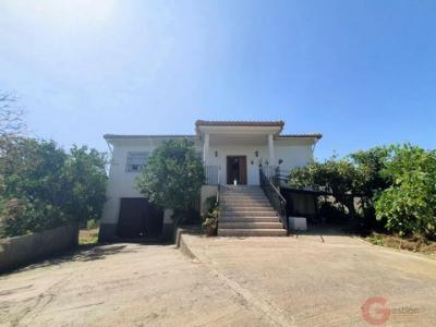 Annonce Vente Maison El-valle
