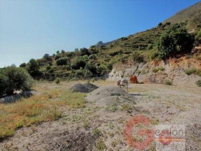 Acheter Terrain 2500 m2 Velez-de-benaudalla