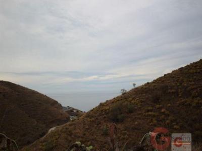 Annonce Vente Terrain Atrabo