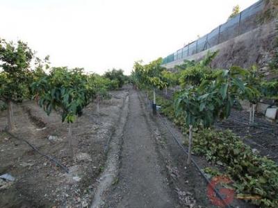 Acheter Maison 160 m2 Salobrena