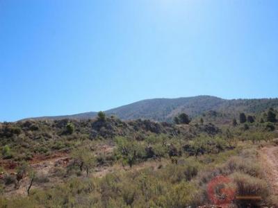 Acheter Terrain 30000 m2 Velez-de-benaudalla