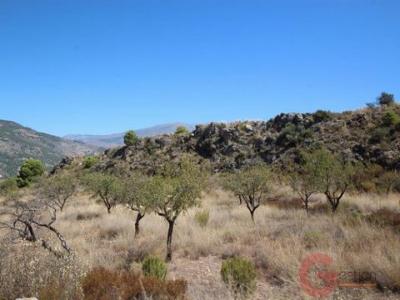 Acheter Terrain Velez-de-benaudalla rgion GRANADA