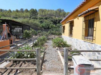 Acheter Maison Torrenueva rgion GRANADA