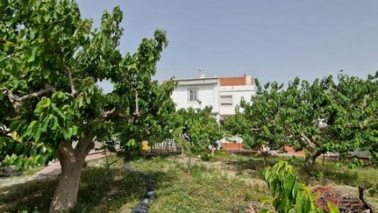 Annonce Vente Maison Lobres