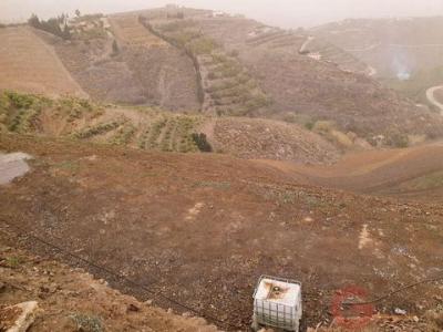 Annonce Vente Terrain Salobrena