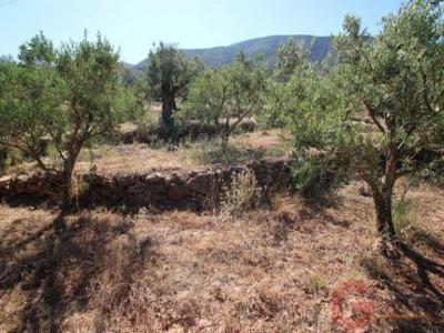 Acheter Terrain 2192 m2 Velez-de-benaudalla