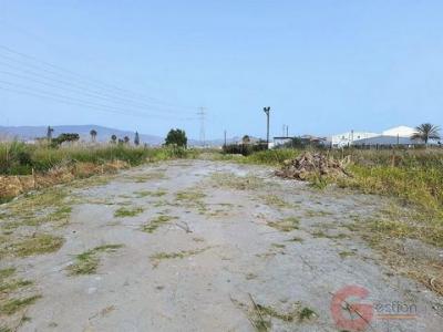 Annonce Vente Terrain El-varadero