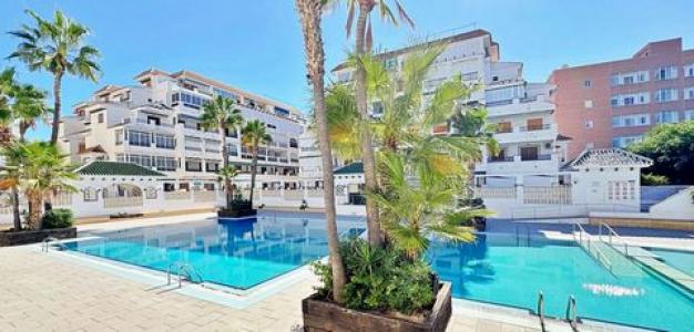 Acheter Appartement 45 m2 Torrevieja