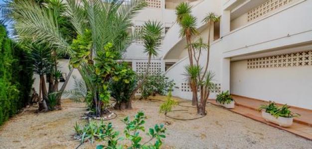 Acheter Appartement 52 m2 Altea