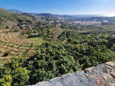 Annonce Vente Terrain Molvizar