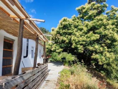 Annonce Vente Maison Guajar-alto