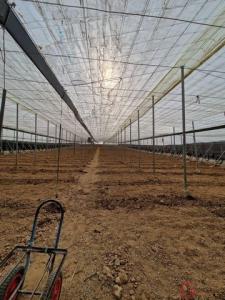 Acheter Maison 86 m2 Molvizar