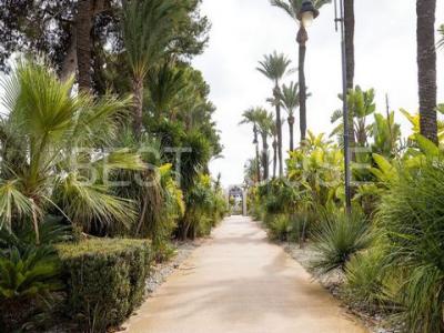 Annonce Vente Appartement Borrambla