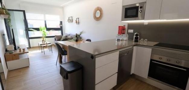 Acheter Appartement Orihuela-costa rgion ALICANTE