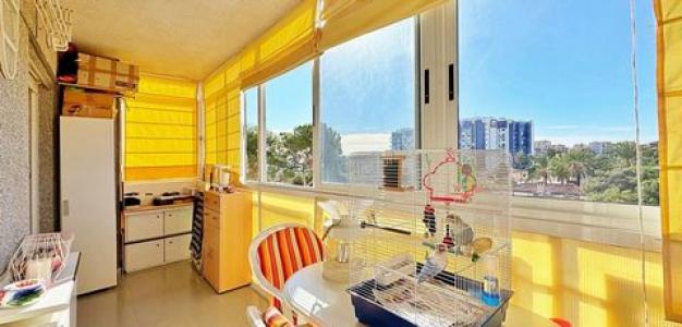 Acheter Appartement 43 m2 Torrevieja