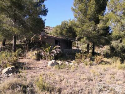 Acheter Terrain 32767 m2 Jalon