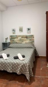 Louer Appartement Chiclana-de-la-frontera rgion CADIZ