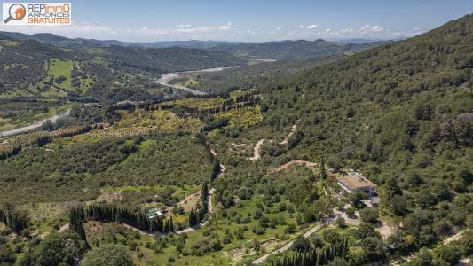 Annonce Vente Maison Gaucin