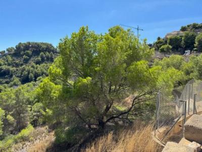 Acheter Terrain 1665 m2 Javea