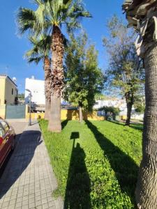 Annonce Vente Terrain Gelves