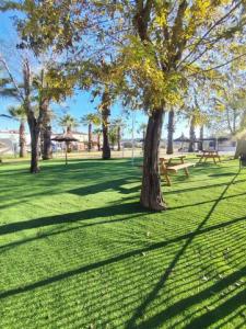 Acheter Terrain Gelves rgion SEVILLA