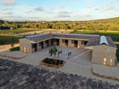 Acheter Maison 2400 m2 Llucmajor