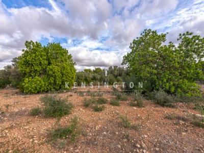 Acheter Maison Llucmajor rgion ISLAS-BALEARES